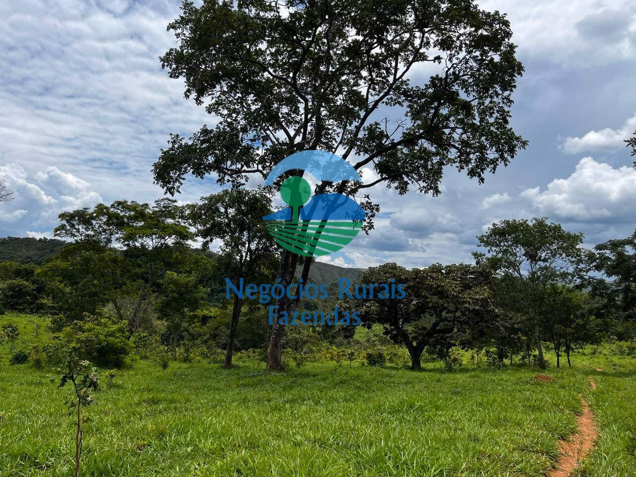 Fazenda de 667 ha em Padre Bernardo, GO