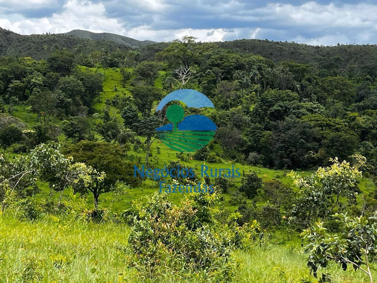 Fazenda de 667 ha em Padre Bernardo, GO