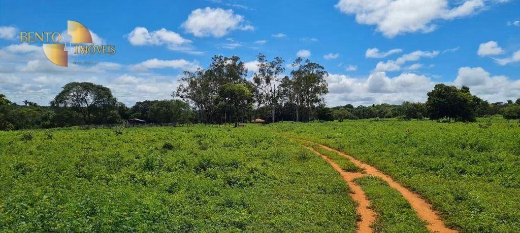Fazenda de 2.132 ha em Gaúcha do Norte, MT