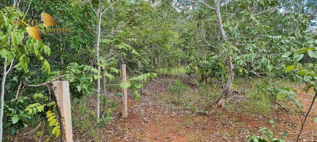 Fazenda de 2.132 ha em Gaúcha do Norte, MT