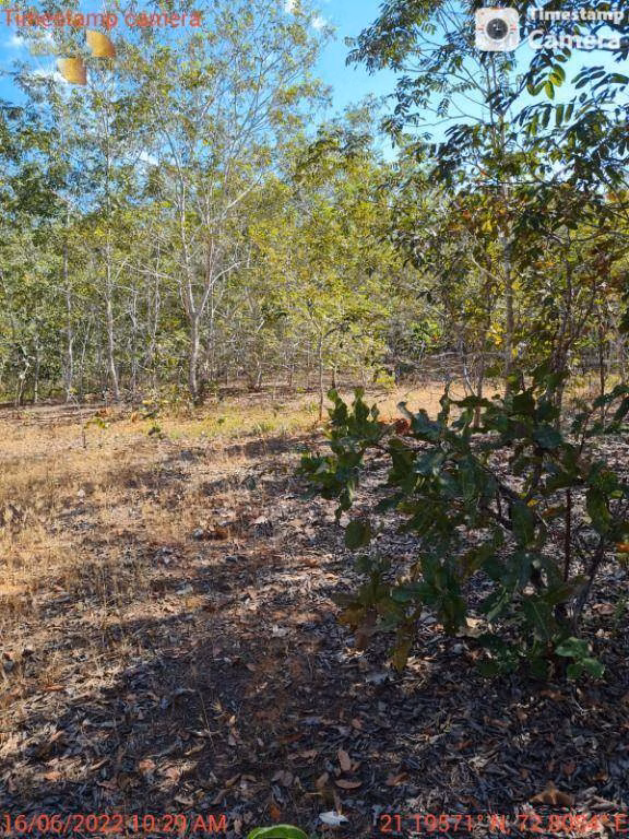 Fazenda de 2.132 ha em Gaúcha do Norte, MT