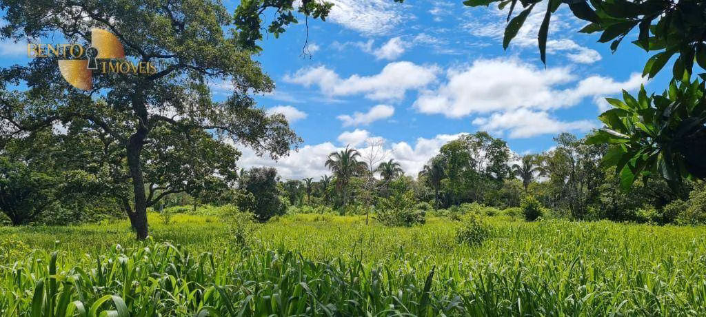 Fazenda de 2.132 ha em Gaúcha do Norte, MT
