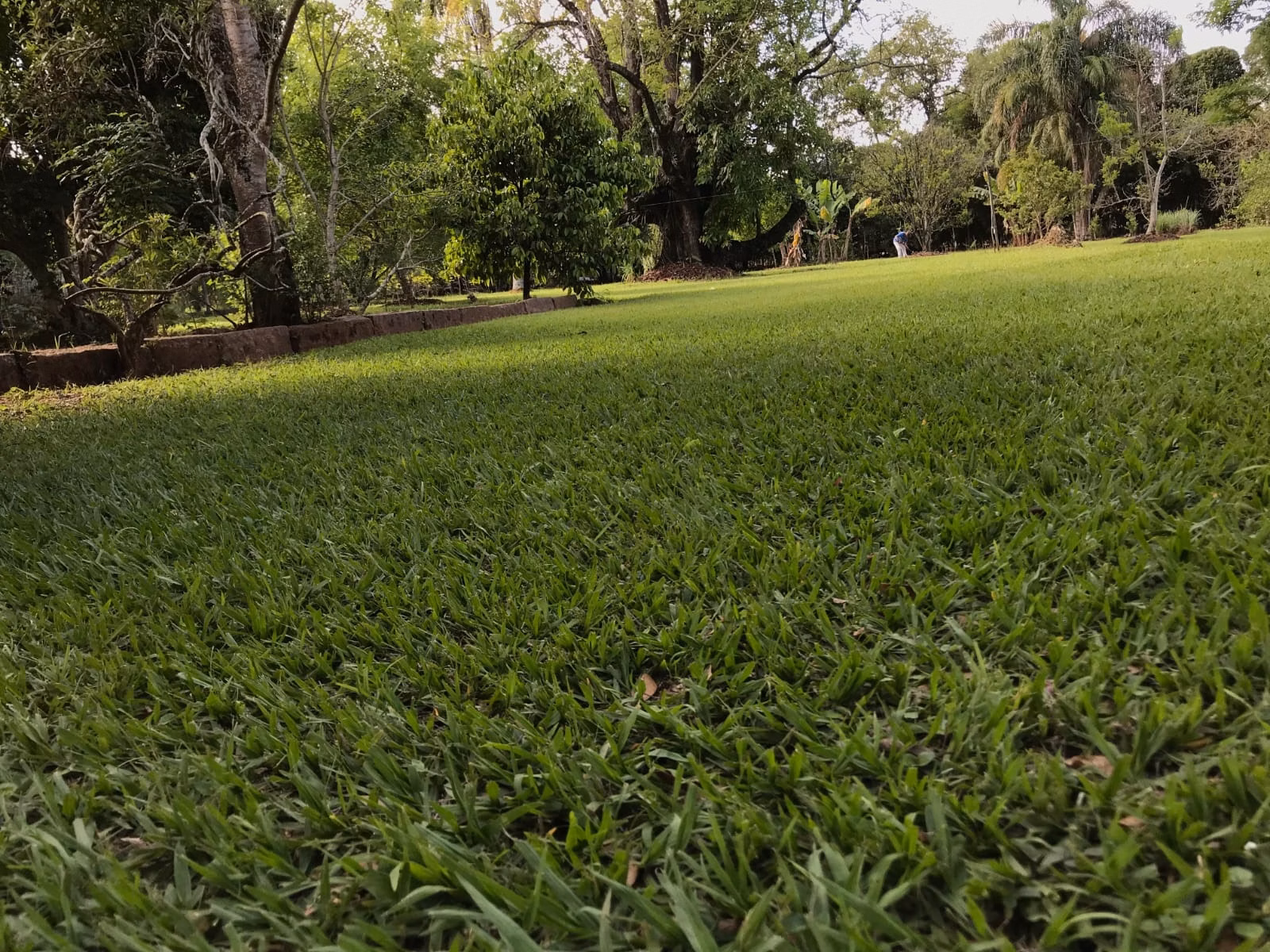 Chácara de 5.000 m² em Araçoiaba da Serra, SP