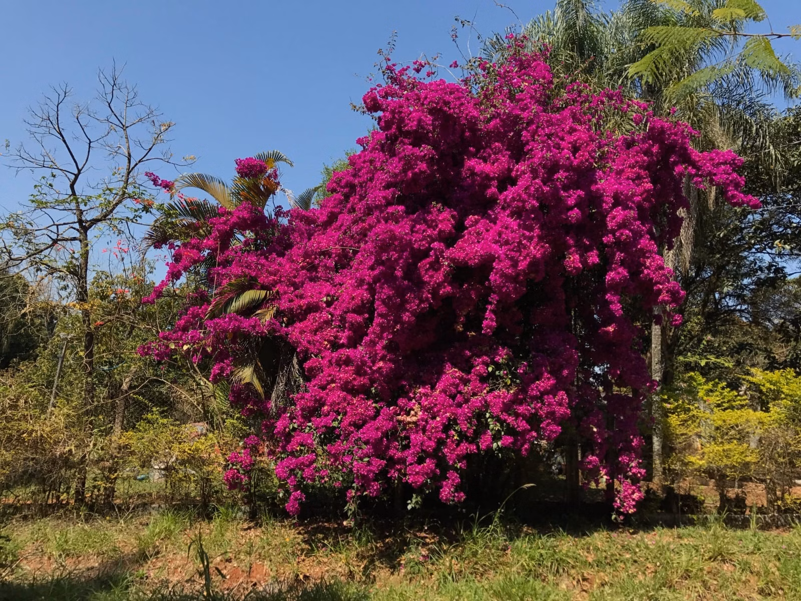 Country home of 1 acres in Araçoiaba da Serra, SP, Brazil