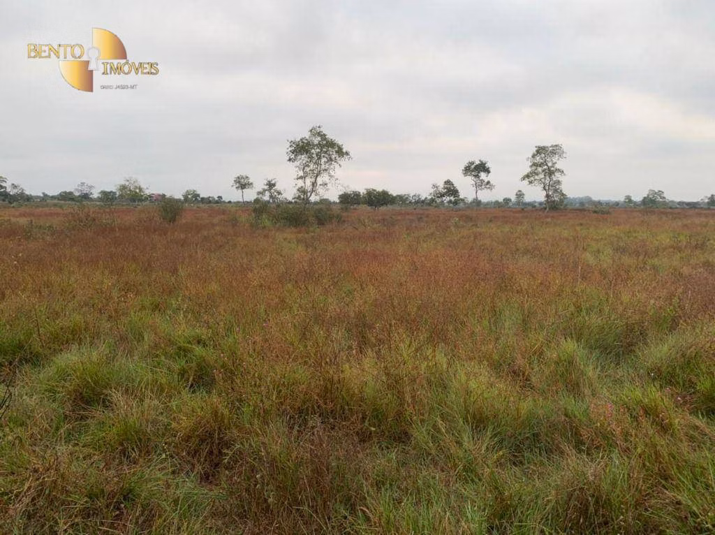 Fazenda de 265 ha em Cuiabá, MT