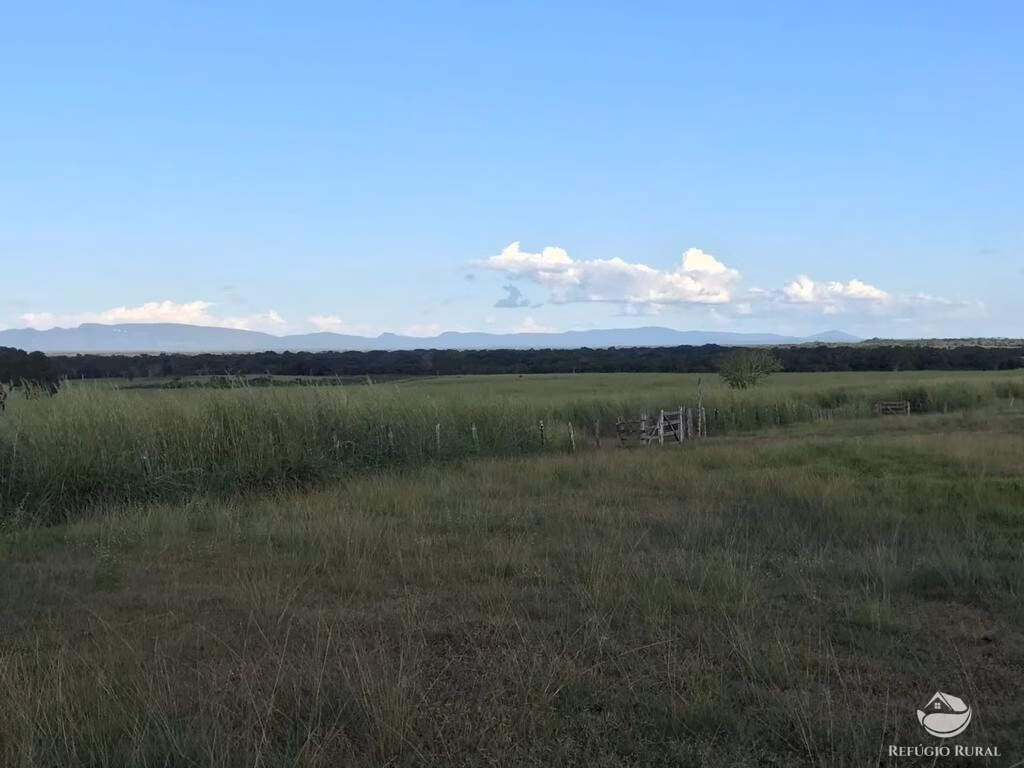 Farm of 2,713 acres in Alvorada, TO, Brazil