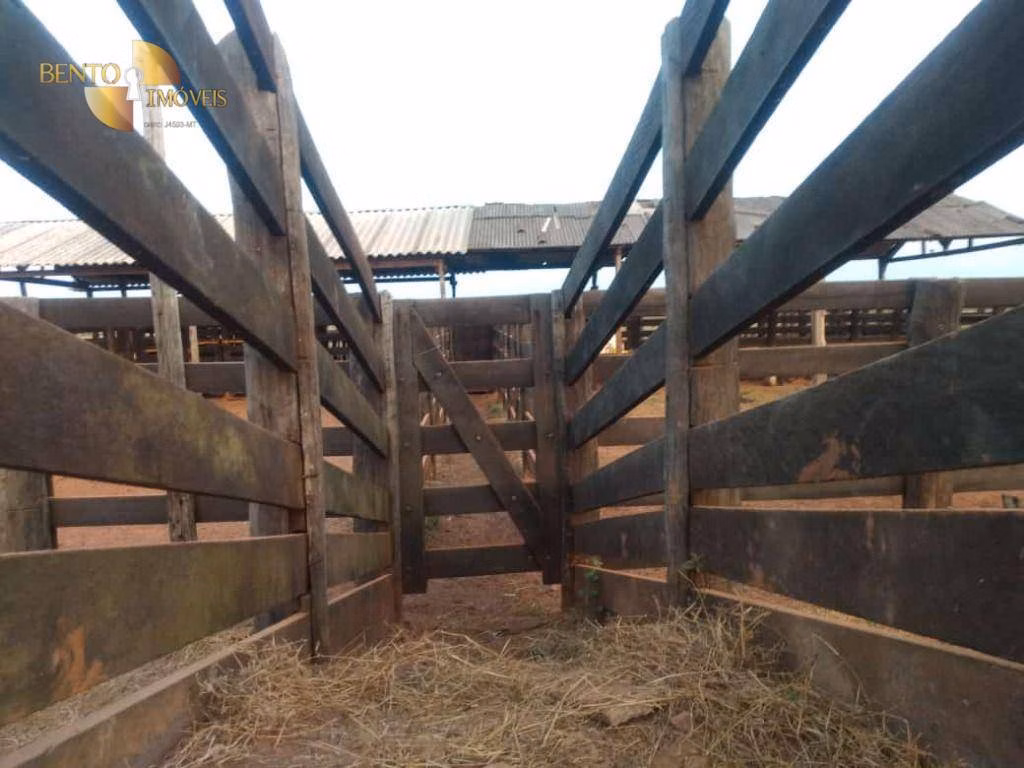 Fazenda de 500 ha em Cuiabá, MT