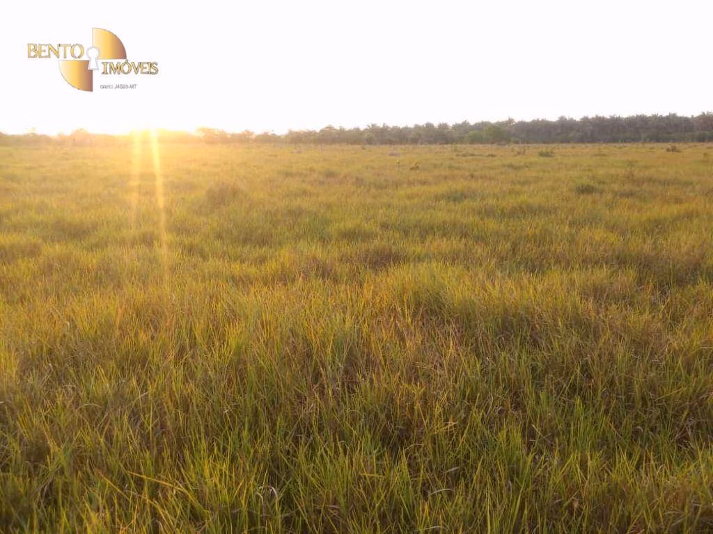 Fazenda de 500 ha em Cuiabá, MT