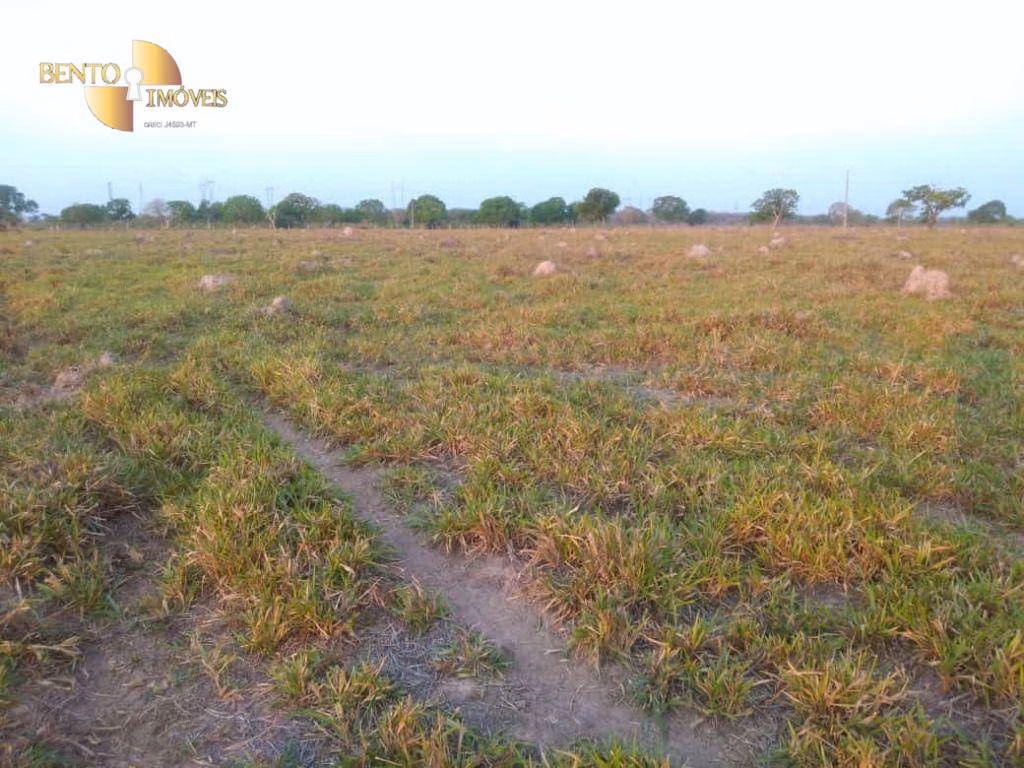 Farm of 1.236 acres in Cuiabá, MT, Brazil
