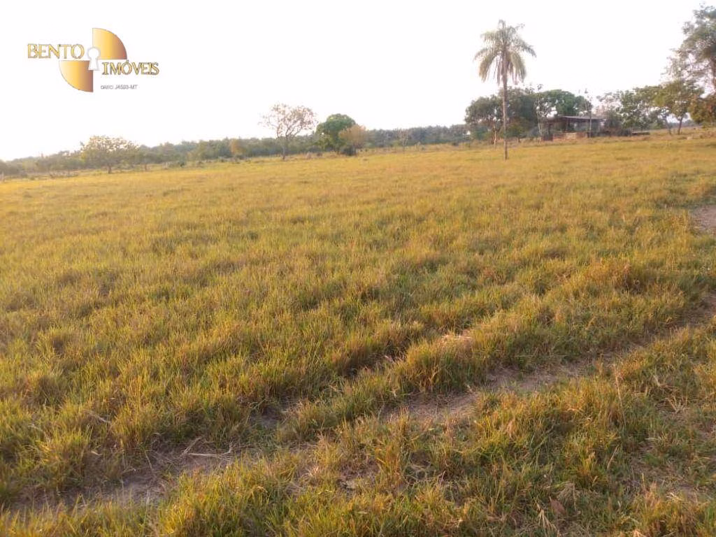 Fazenda de 500 ha em Cuiabá, MT