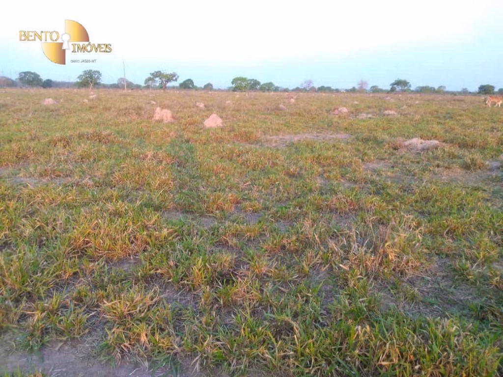 Fazenda de 500 ha em Cuiabá, MT
