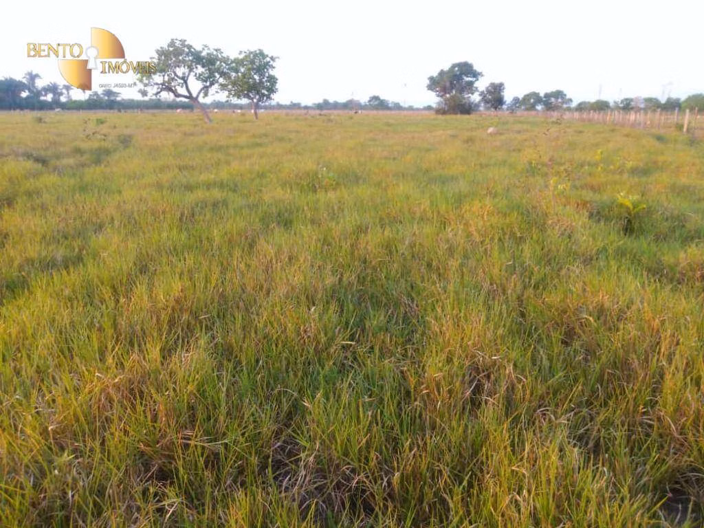 Fazenda de 500 ha em Cuiabá, MT