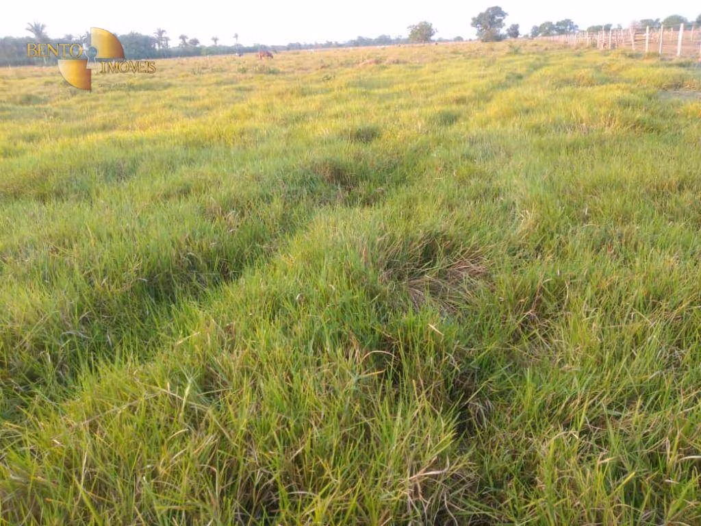 Fazenda de 500 ha em Cuiabá, MT
