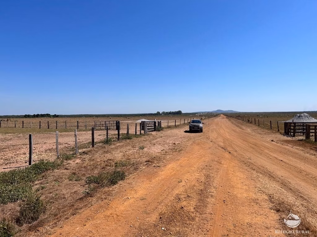Fazenda de 3.728 ha em Nova Nazaré, MT