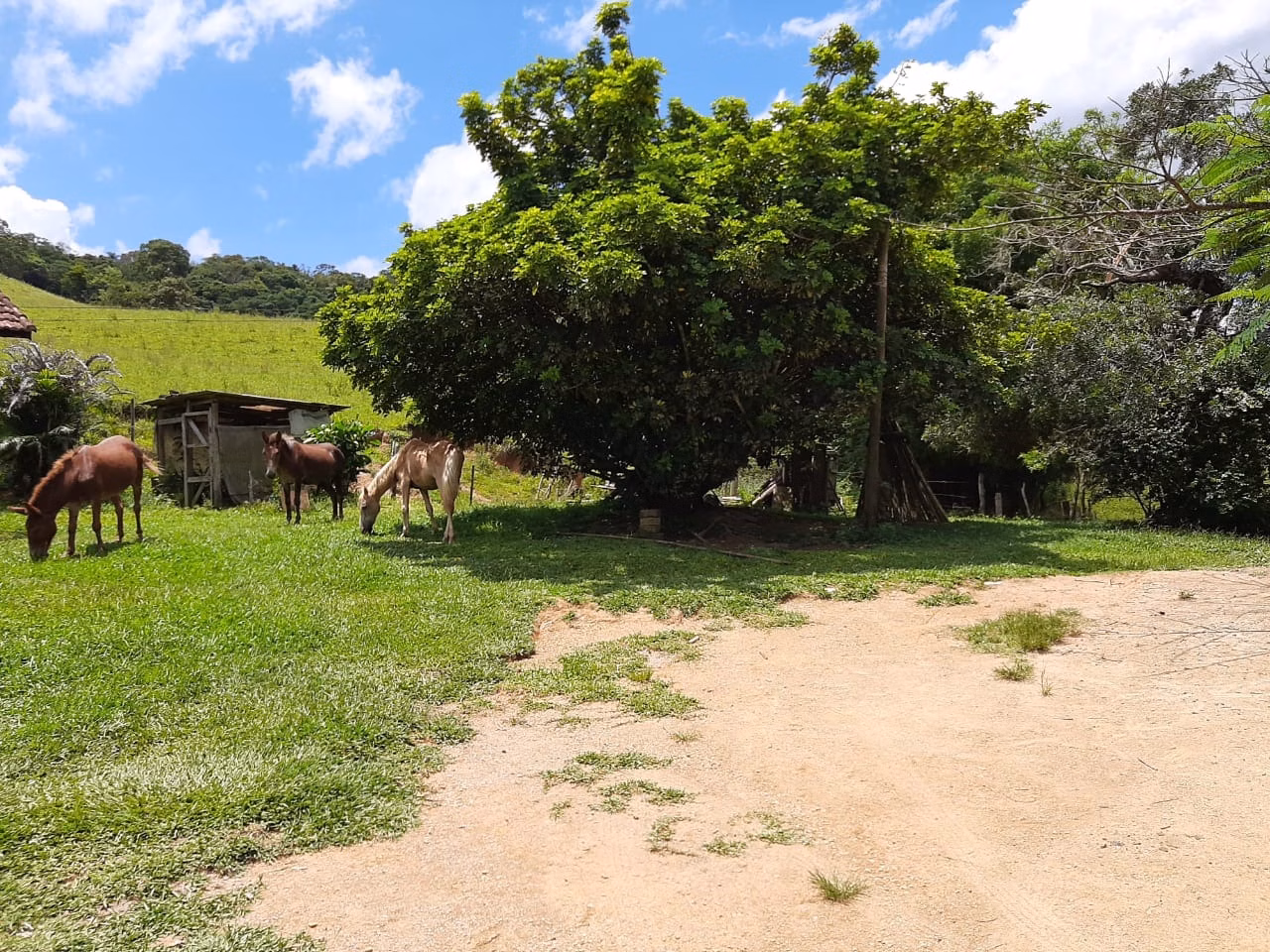 Sítio de 24 ha em São Miguel Arcanjo, SP