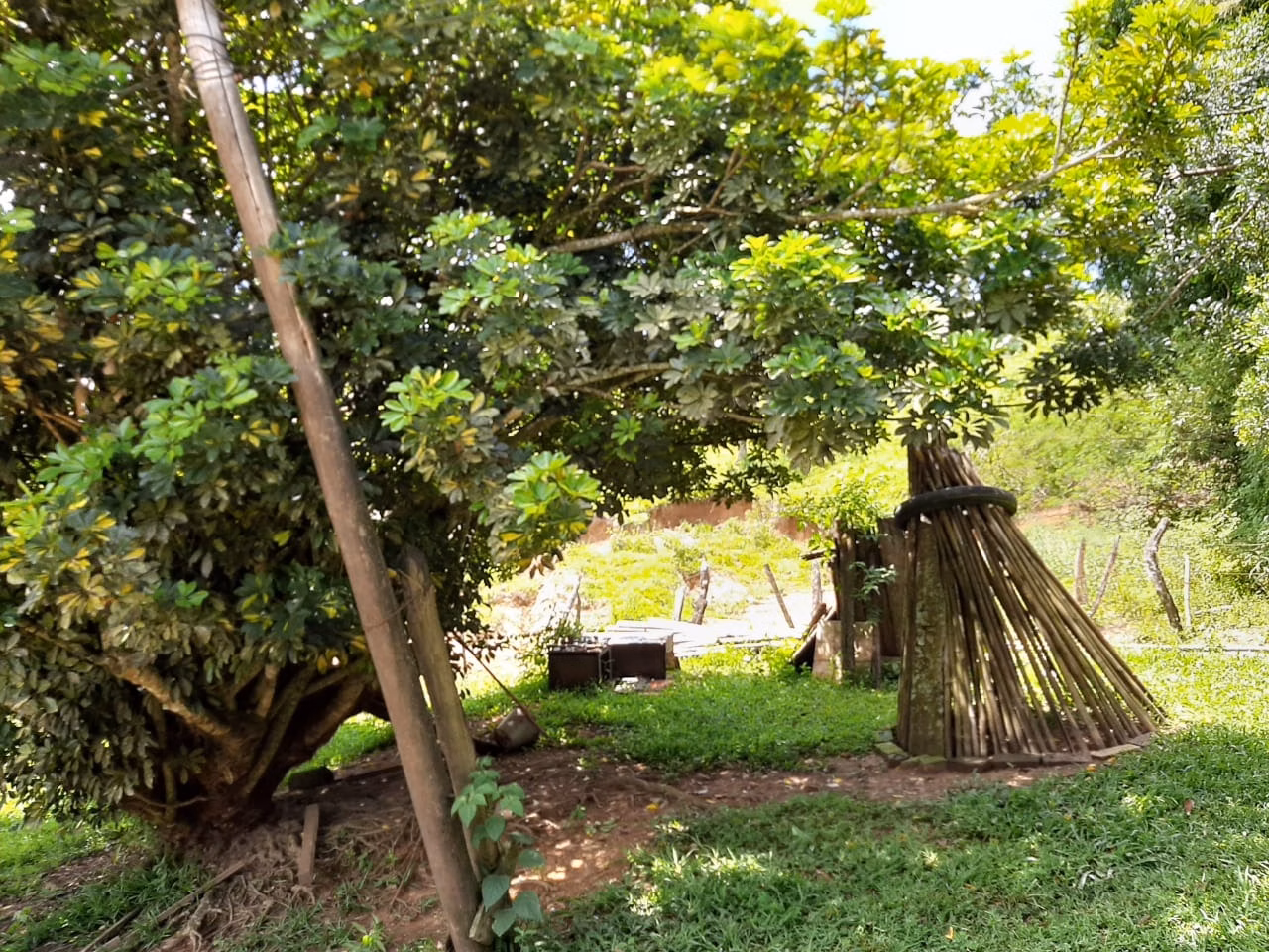 Small farm of 60 acres in São Miguel Arcanjo, SP, Brazil