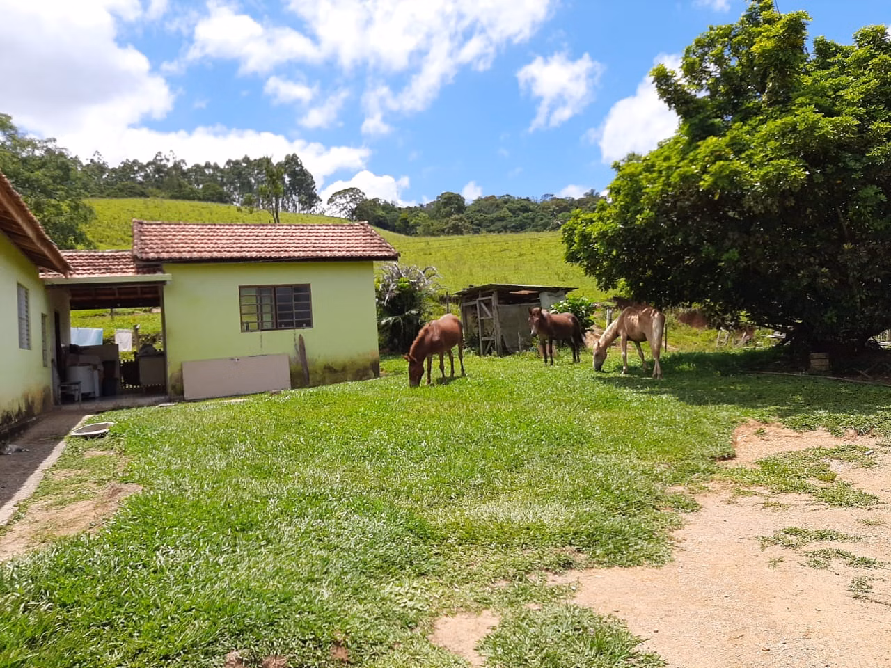 Sítio de 24 ha em São Miguel Arcanjo, SP