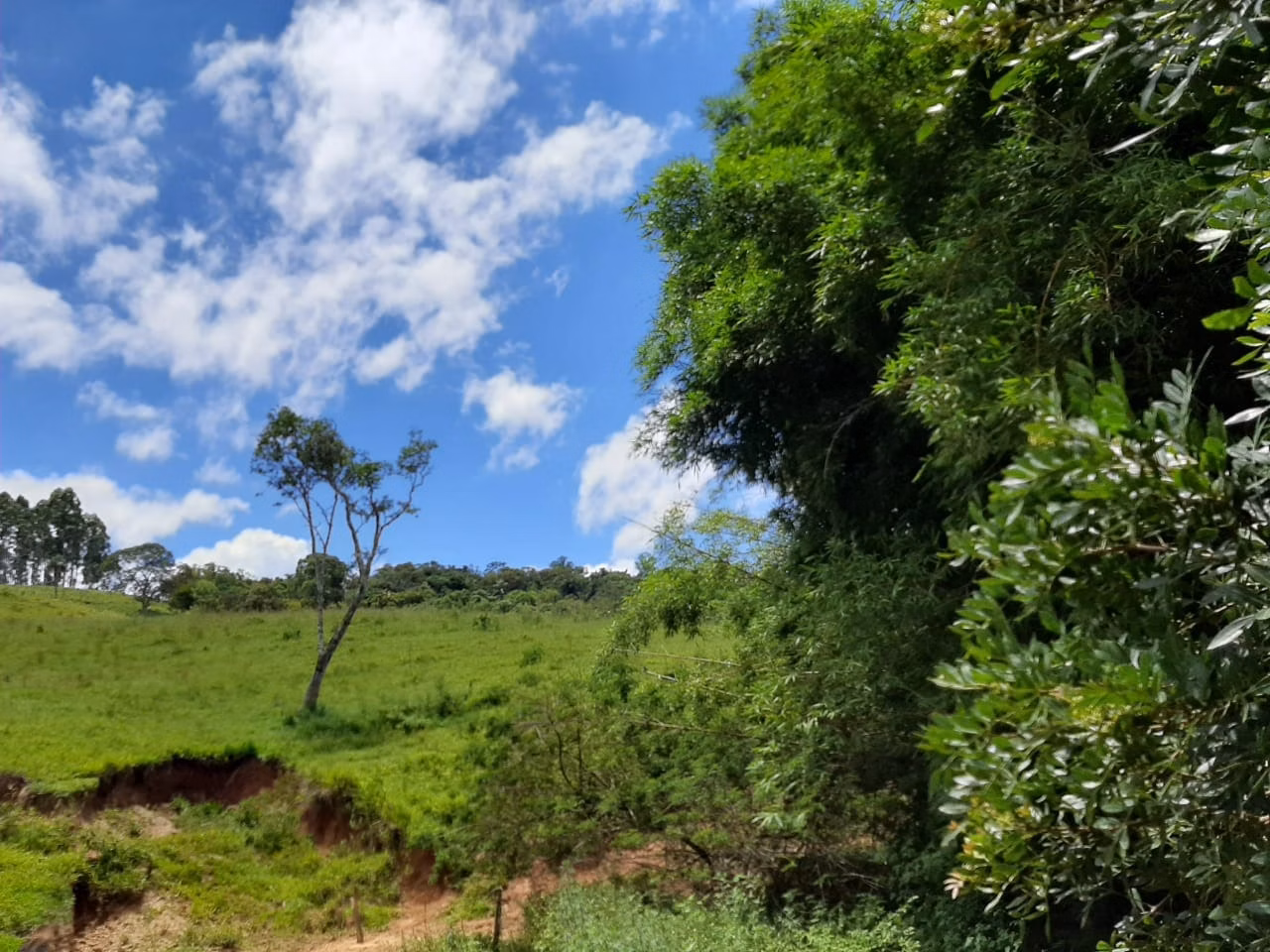 Sítio de 24 ha em São Miguel Arcanjo, SP