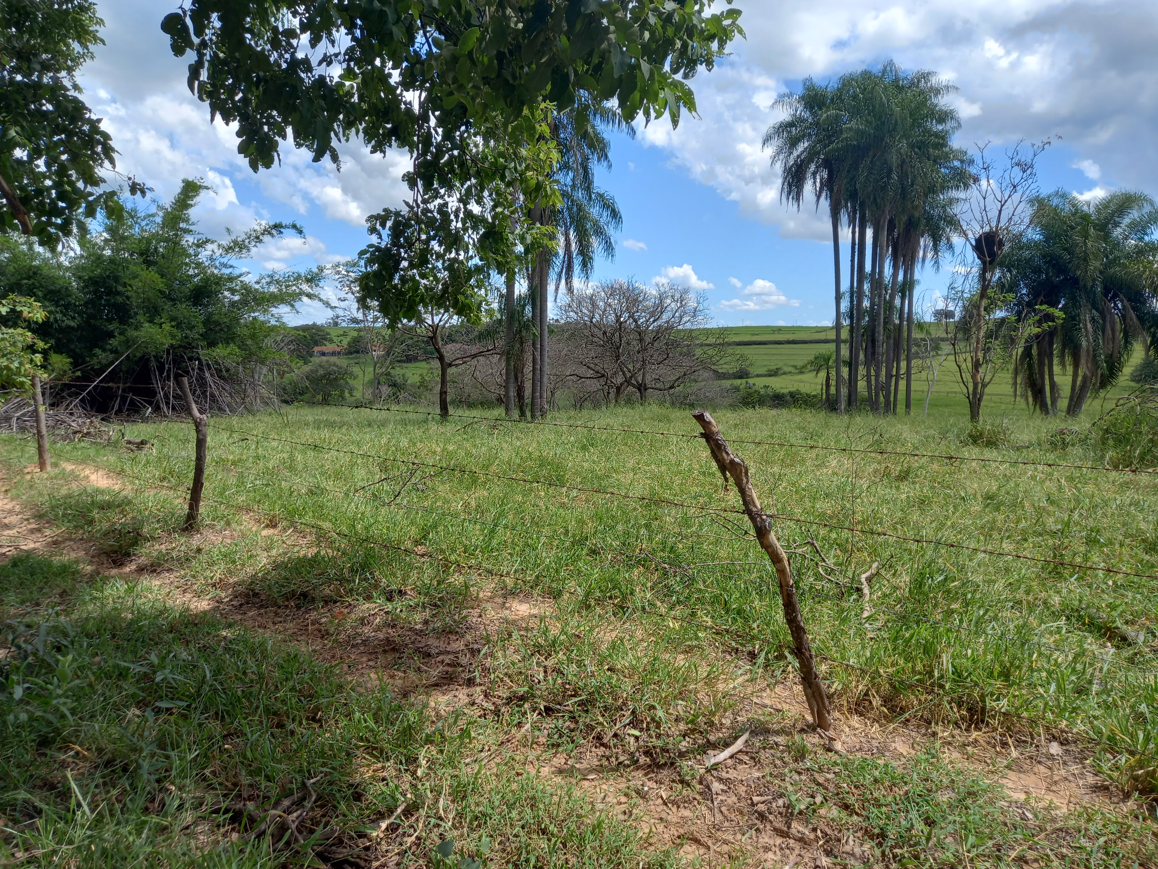 Country home of 118.610 acres in Dracena, SP, Brazil
