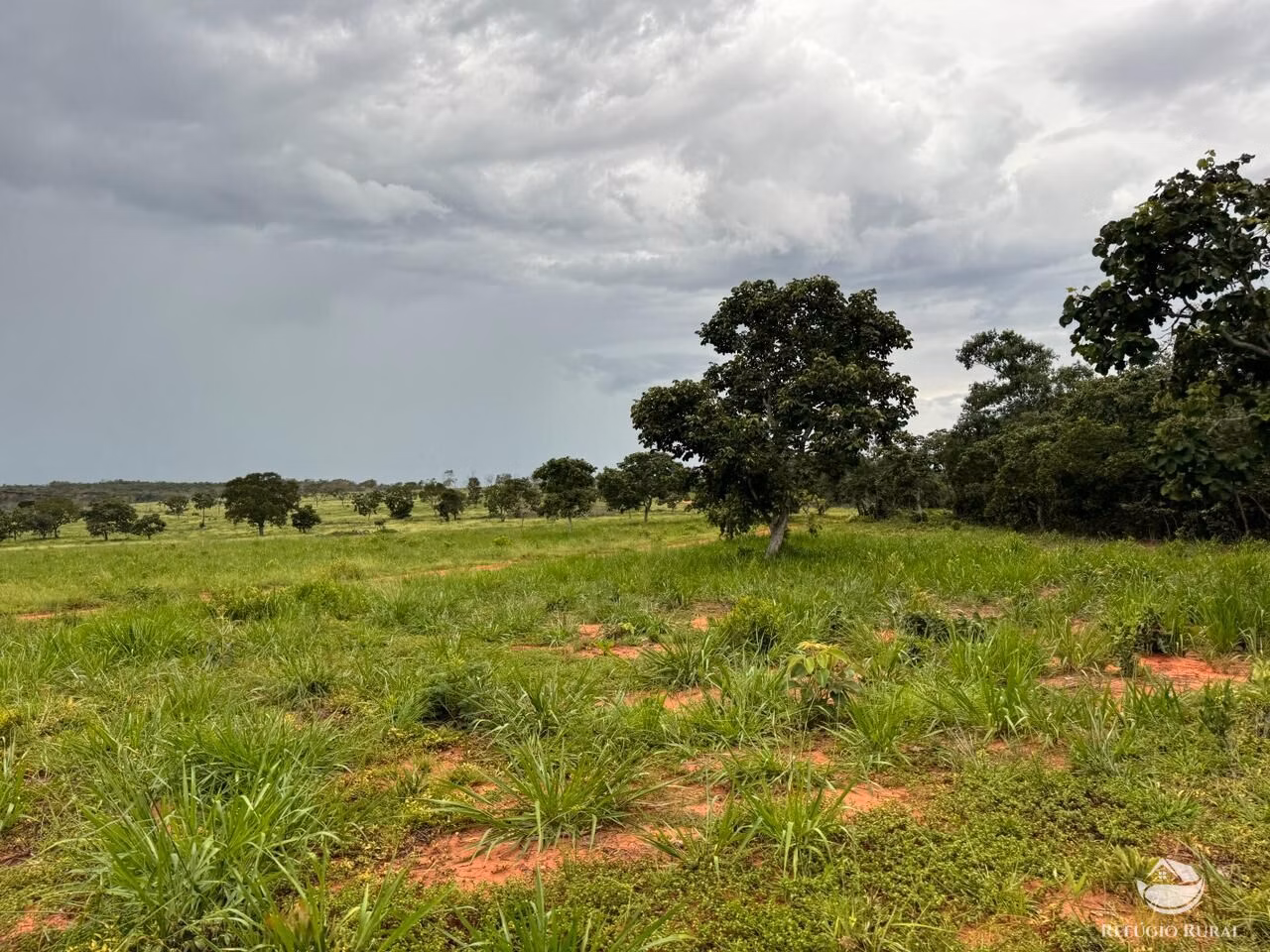 Fazenda de 1.930 ha em Primavera do Leste, MT