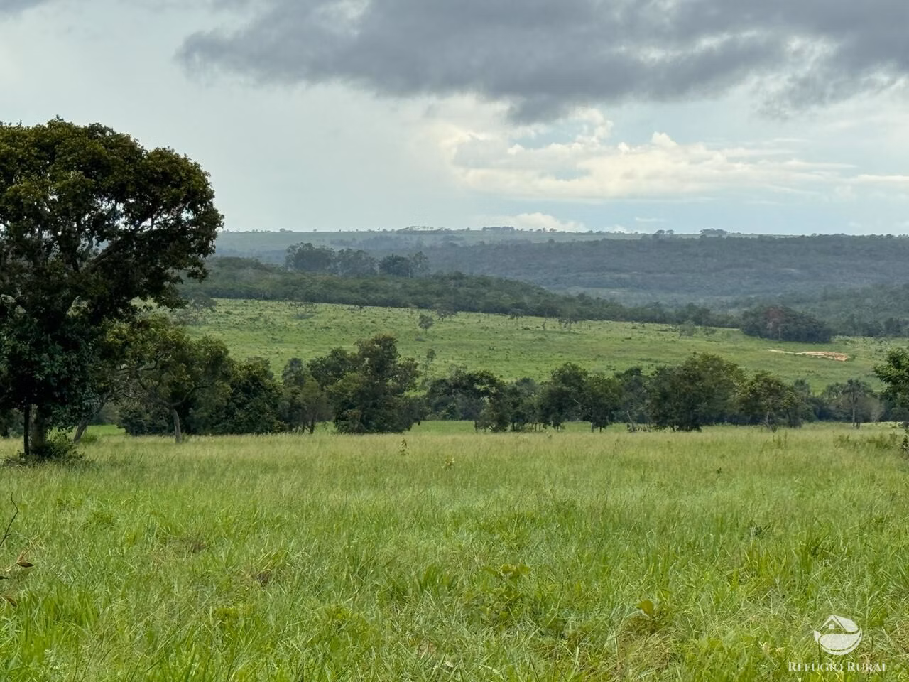 Fazenda de 1.930 ha em Primavera do Leste, MT