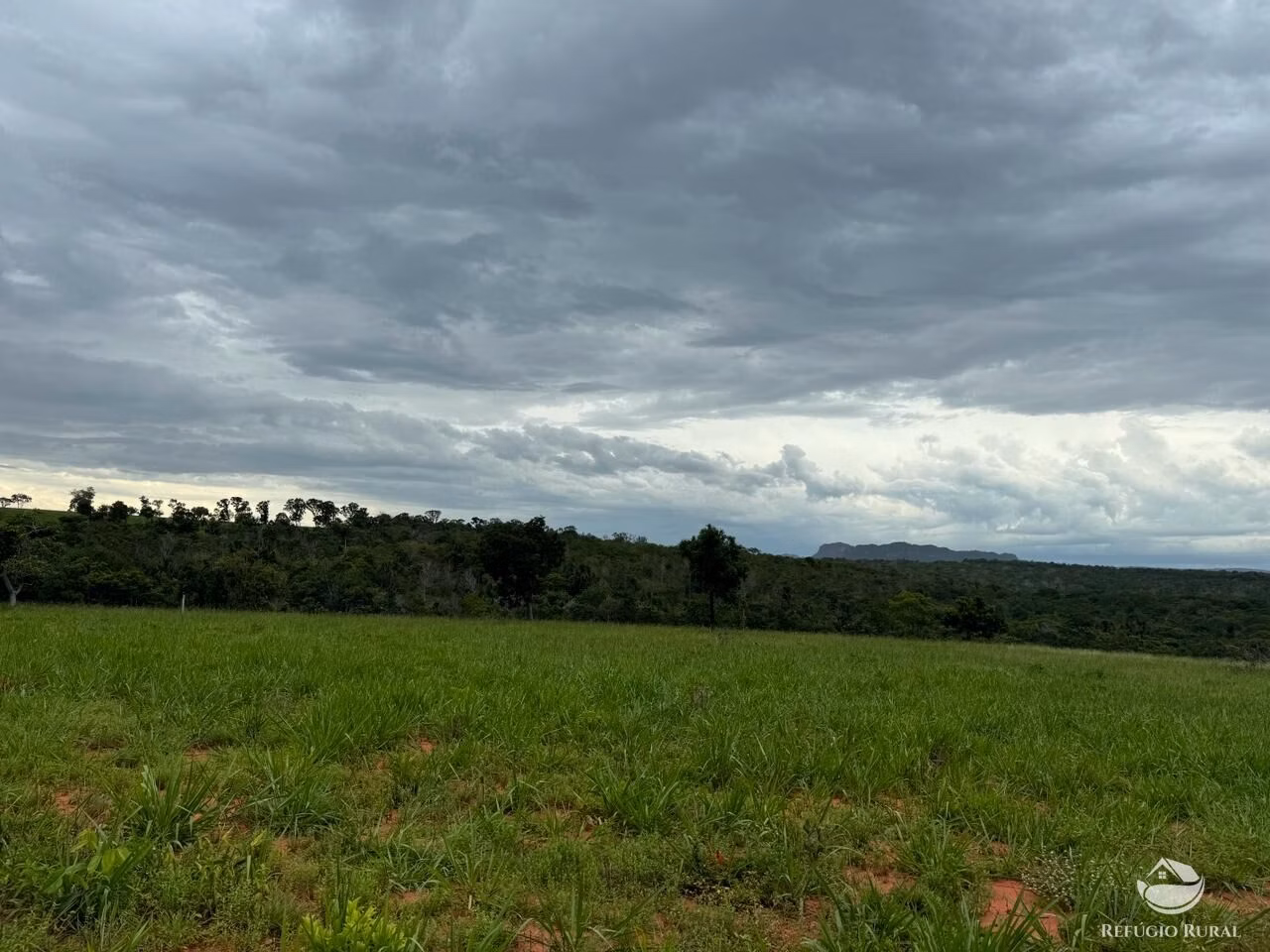 Fazenda de 1.930 ha em Primavera do Leste, MT
