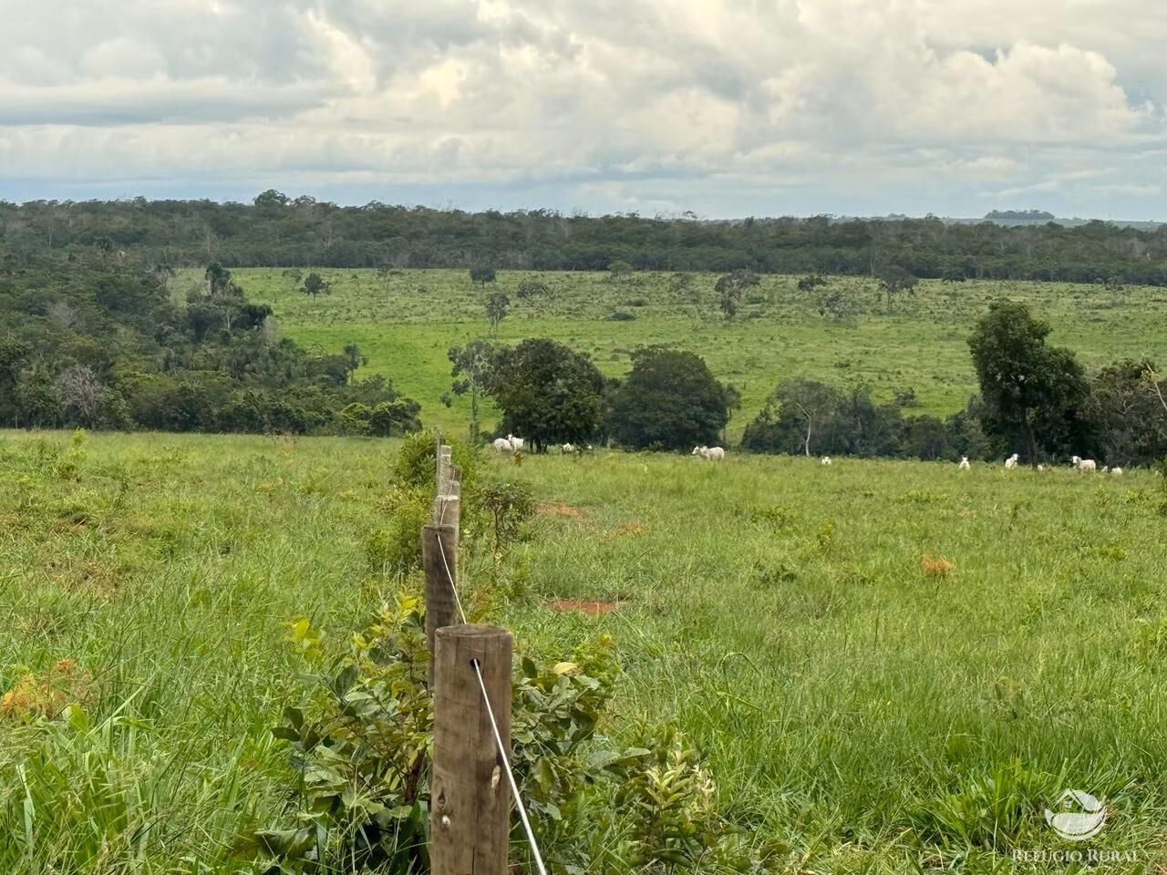 Fazenda de 1.930 ha em Primavera do Leste, MT
