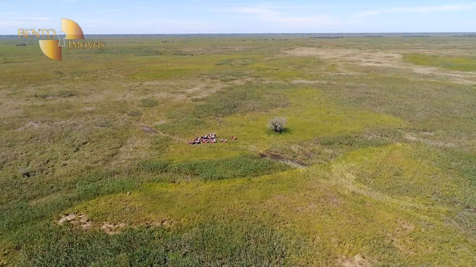 Farm of 216,217 acres in Poconé, MT, Brazil