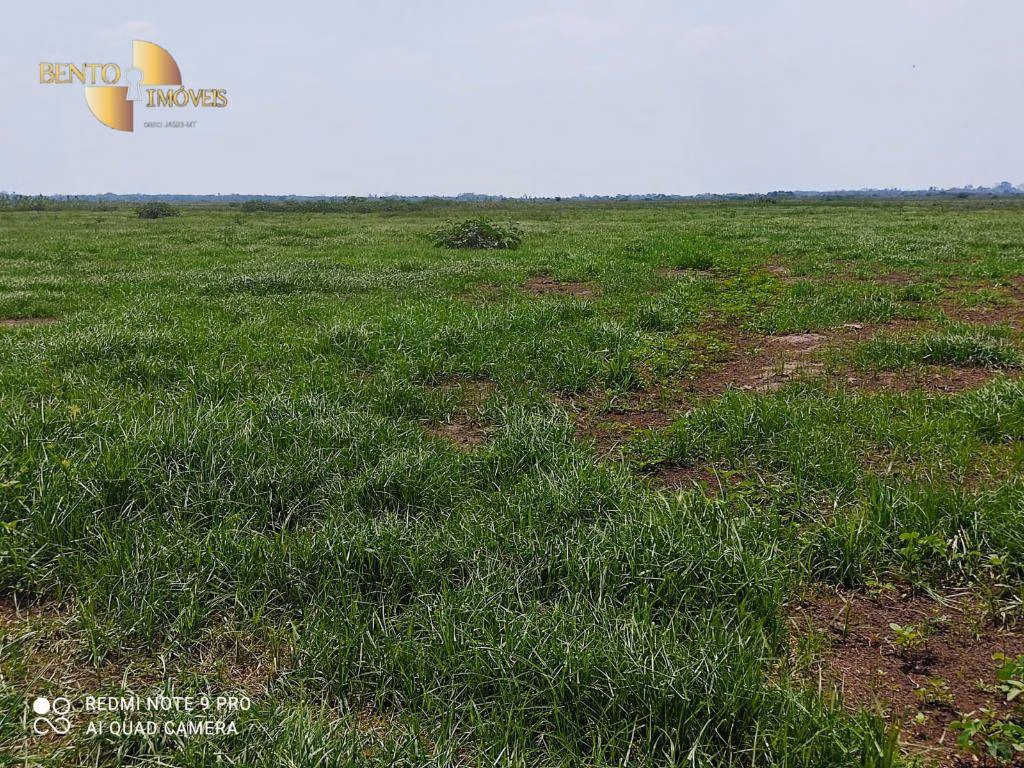 Farm of 216,217 acres in Poconé, MT, Brazil