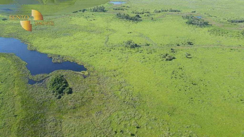 Farm of 216,217 acres in Poconé, MT, Brazil