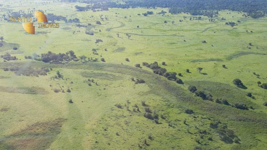 Farm of 216,217 acres in Poconé, MT, Brazil