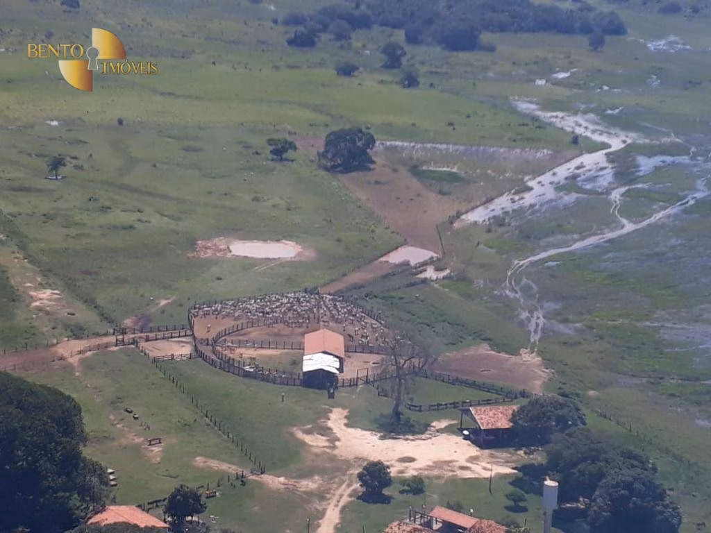 Farm of 216,217 acres in Poconé, MT, Brazil