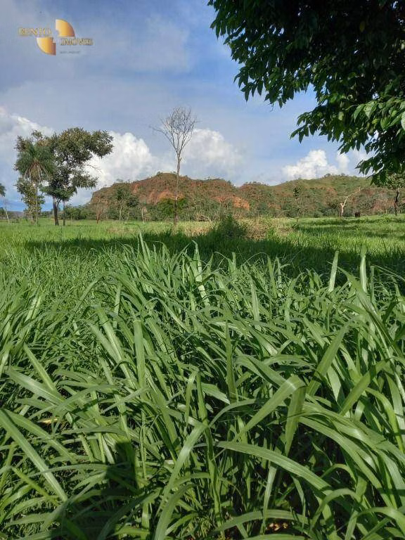 Fazenda de 300 ha em Campo Verde, MT