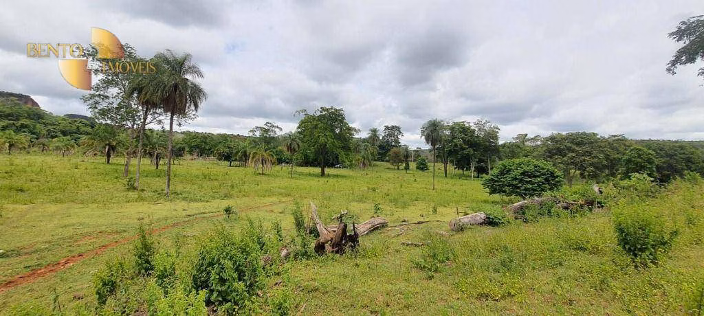 Fazenda de 300 ha em Campo Verde, MT