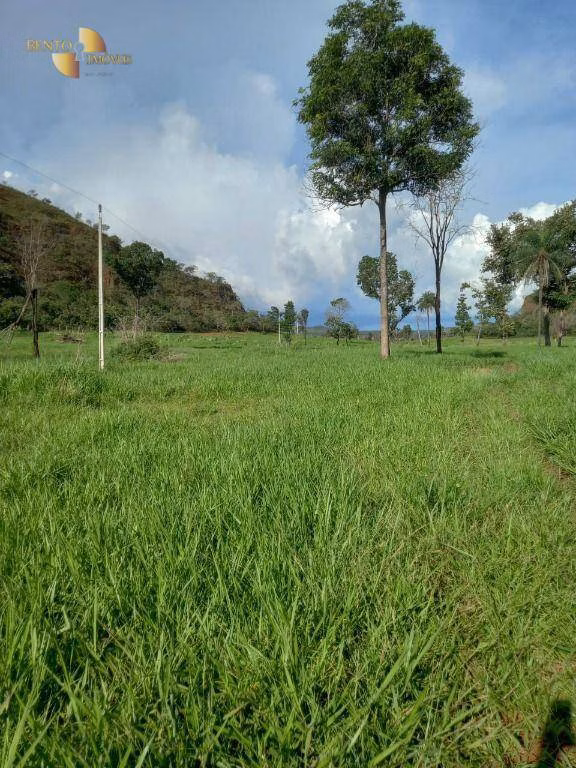 Fazenda de 300 ha em Campo Verde, MT