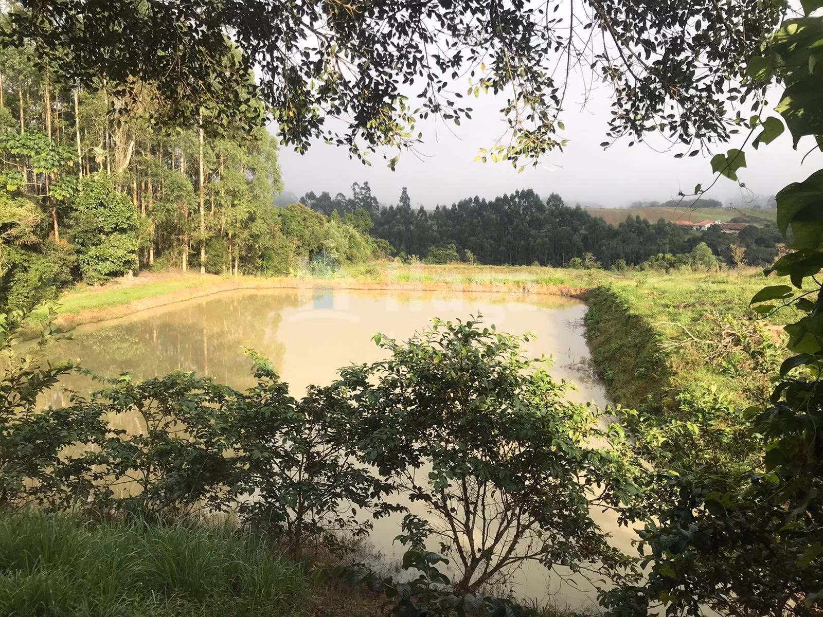 Terreno de 2 ha em José Boiteux, SC