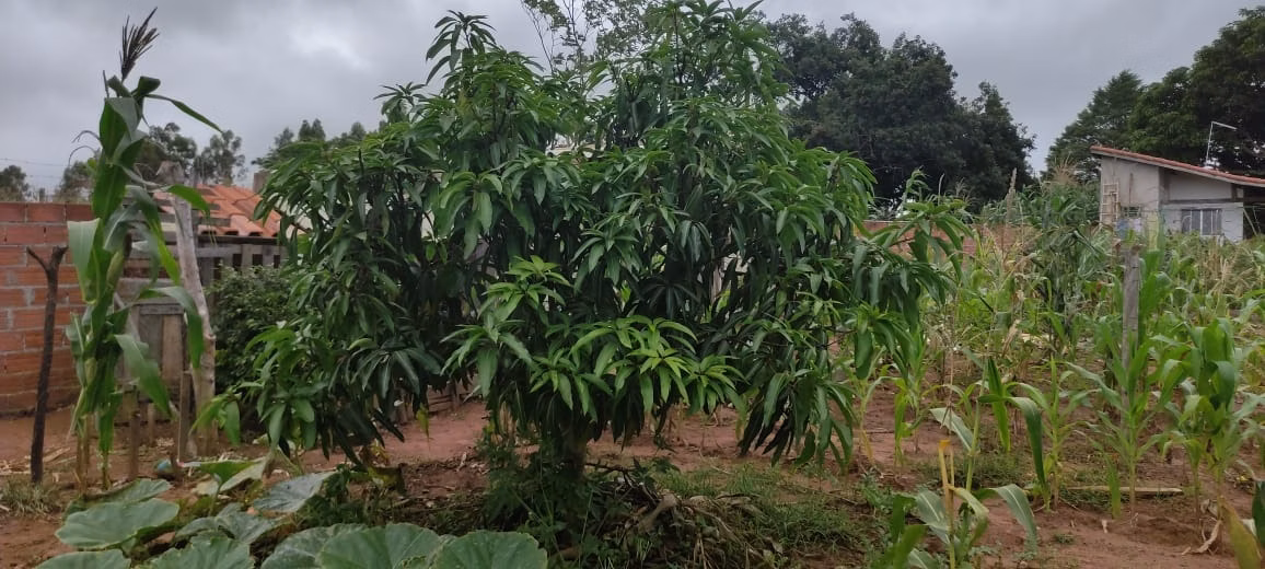 Country home of 1,500 m² in Itapetininga, SP, Brazil