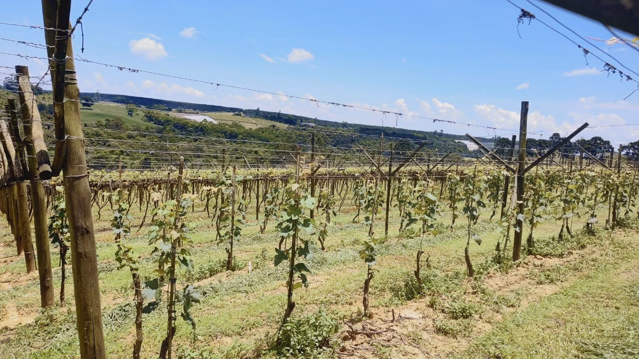 Chácara de 4 ha em São Miguel Arcanjo, SP