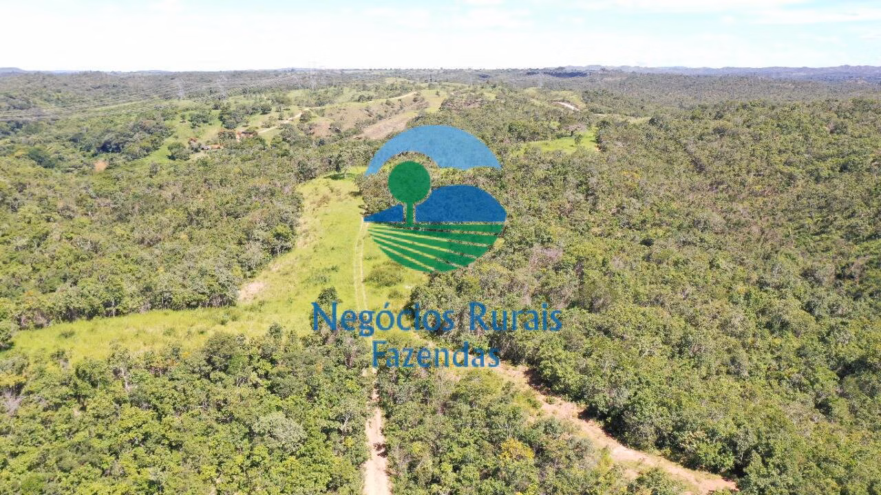 Fazenda de 537 ha em Padre Bernardo, GO