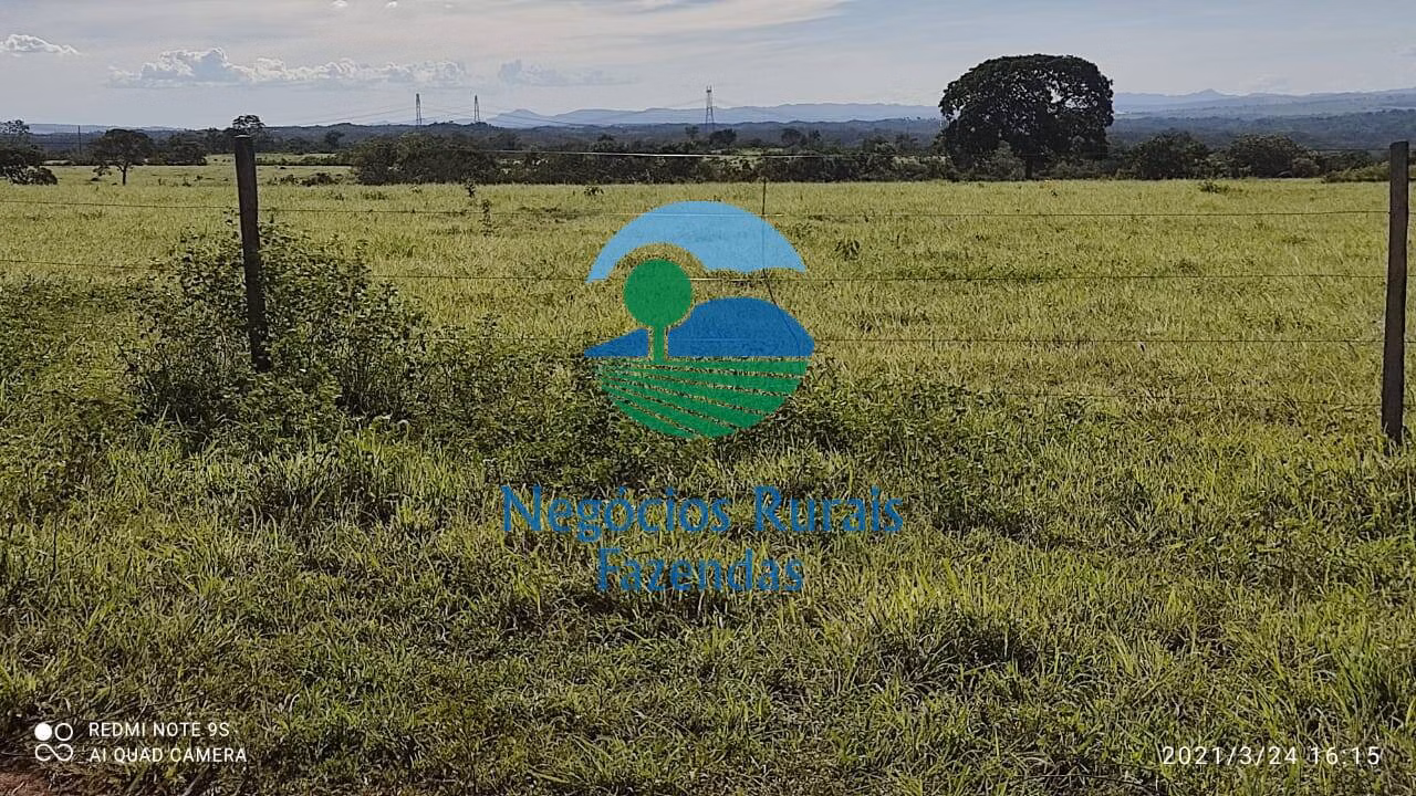 Fazenda de 537 ha em Padre Bernardo, GO