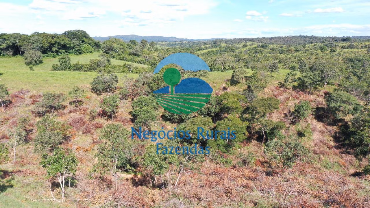 Fazenda de 537 ha em Padre Bernardo, GO