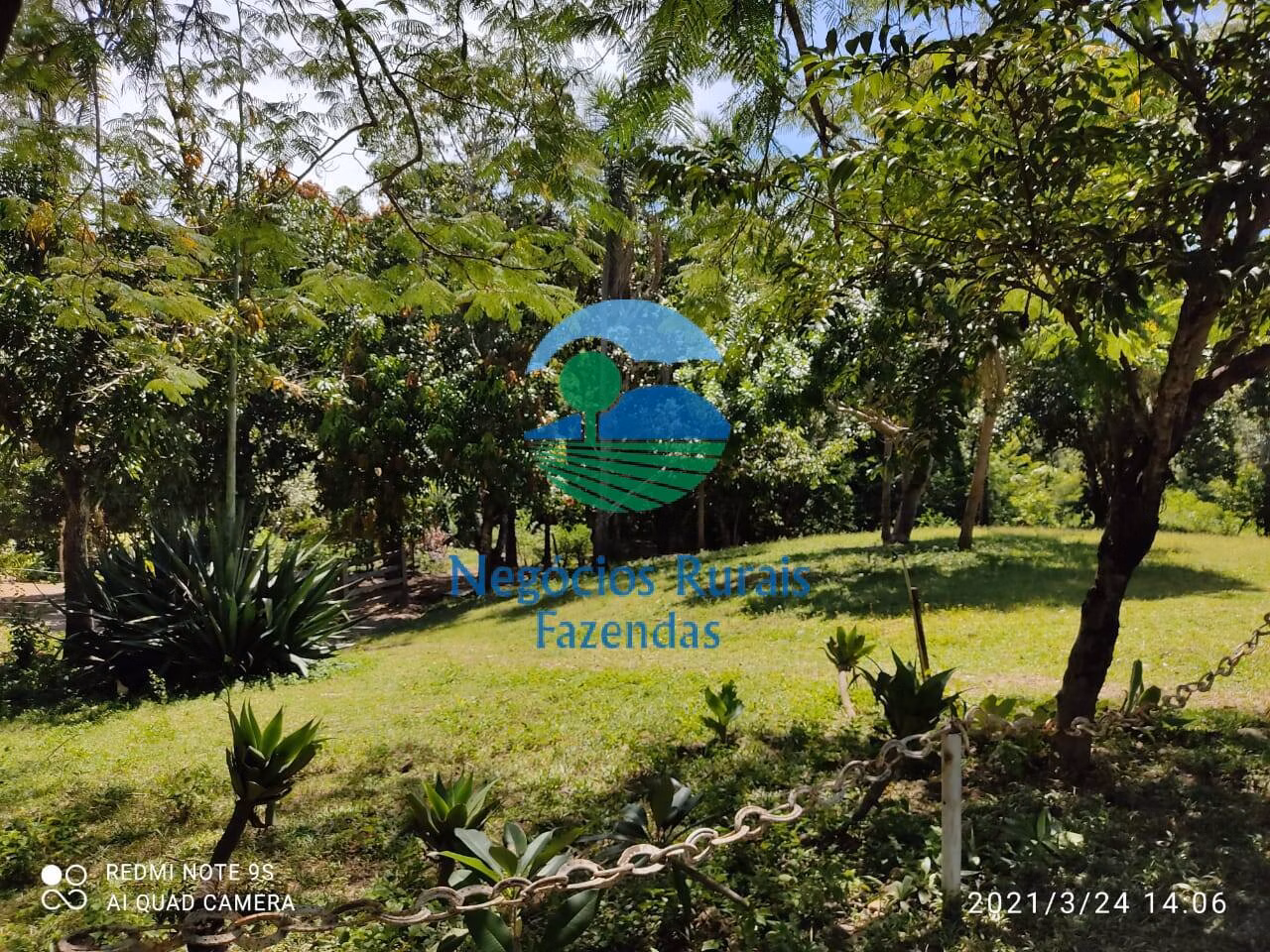 Fazenda de 537 ha em Padre Bernardo, GO