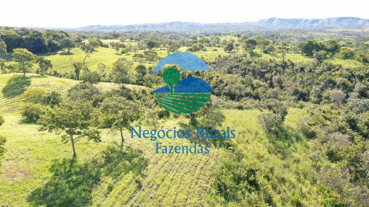 Fazenda de 537 ha em Padre Bernardo, GO