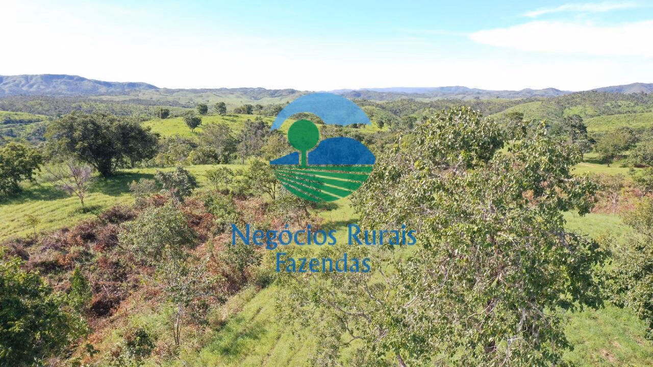 Fazenda de 537 ha em Padre Bernardo, GO