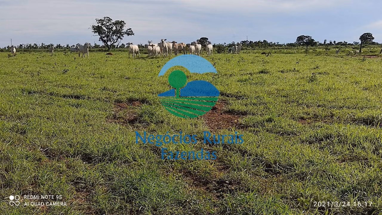 Fazenda de 537 ha em Padre Bernardo, GO