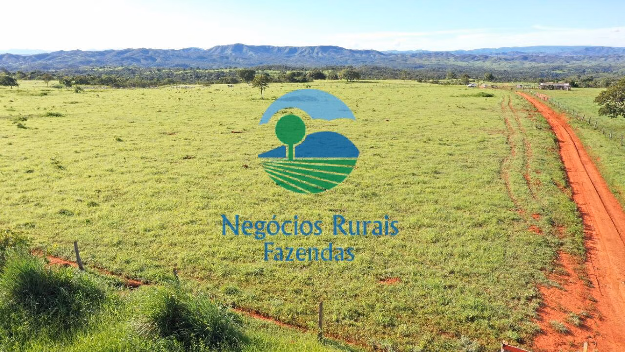 Fazenda de 537 ha em Padre Bernardo, GO