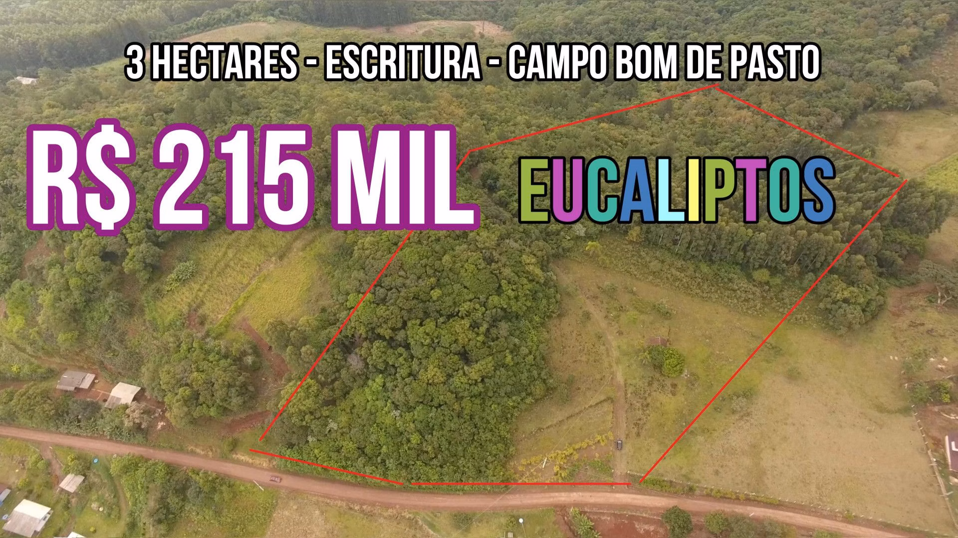 Chácara de 3 ha em Rolante, RS