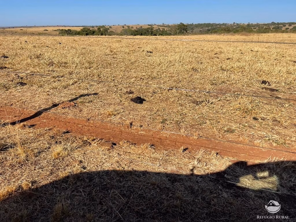 Fazenda de 4.002 ha em São Miguel do Araguaia, GO