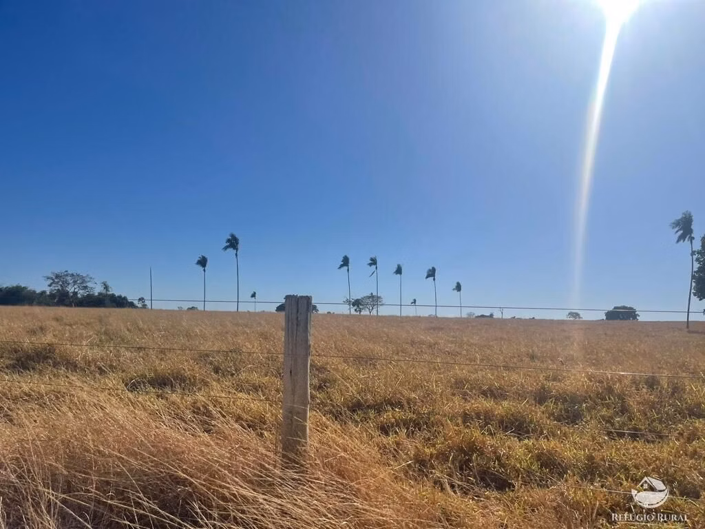Fazenda de 4.002 ha em São Miguel do Araguaia, GO