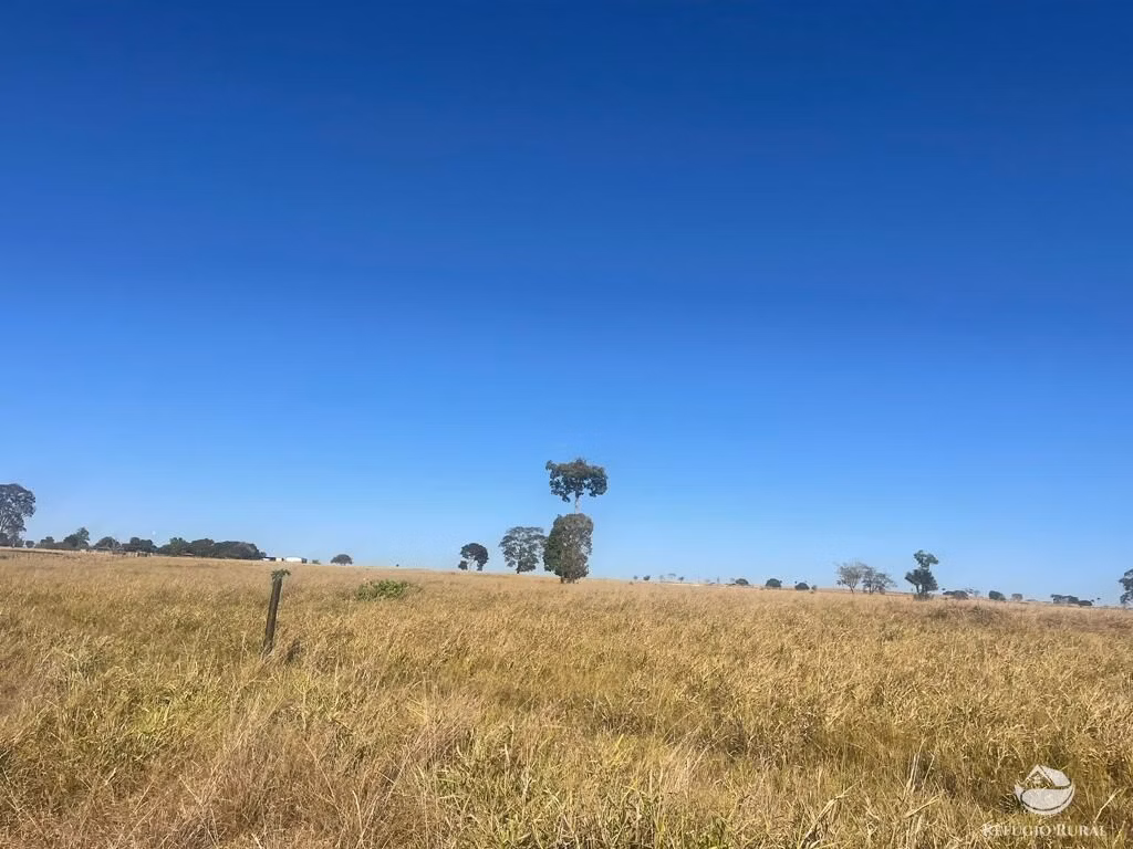 Fazenda de 4.002 ha em São Miguel do Araguaia, GO